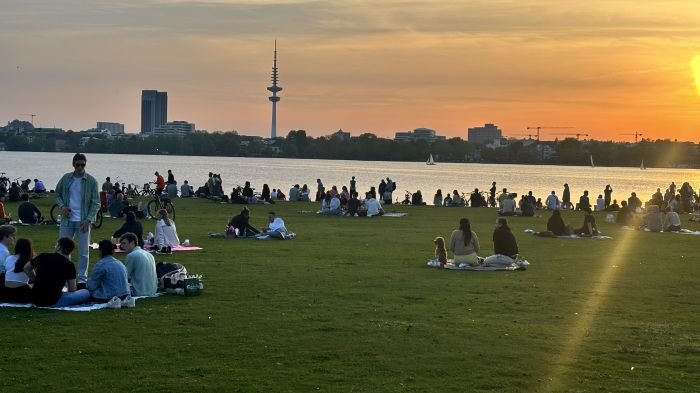 Wiese an der Alster am Abend