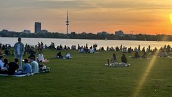 Wiese an der Alster am Abend